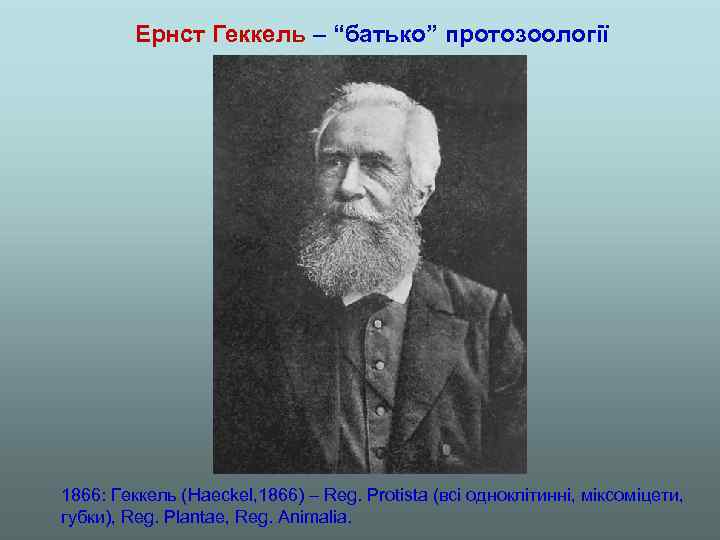 Ернст Геккель – “батько” протозоології 1866: Геккель (Haeckel, 1866) – Reg. Protista (всі одноклітинні,