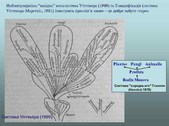 Найпопулярніша “західна” мегасистема Уіттекера (1969) та її модифікація (система Уіттекера-Маргеліс, 1981) ілюстують прислів’я «нове
