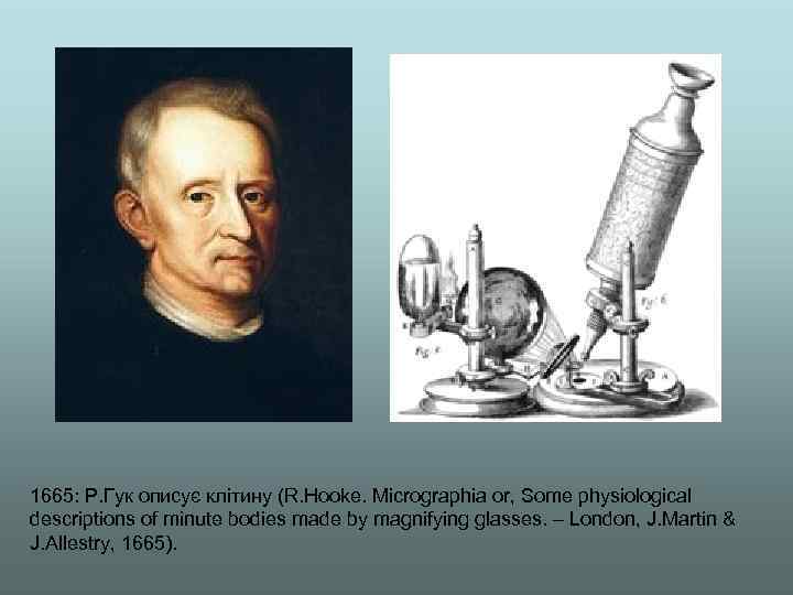 1665: Р. Гук описує клітину (R. Hooke. Micrographia or, Some physiological descriptions of minute