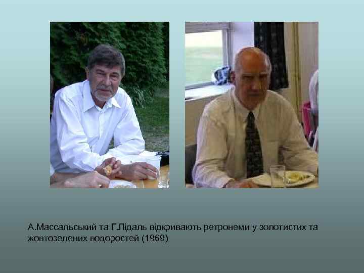 А. Массальський та Г. Лідаль відкривають ретронеми у золотистих та жовтозелених водоростей (1969) 