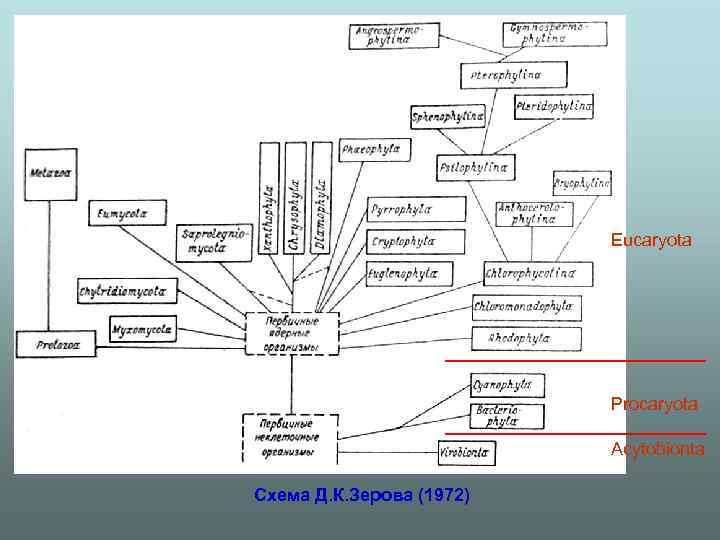 Eucaryota Procaryota Acytobionta Схема Д. К. Зерова (1972) 