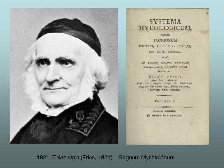1821: Еліас Фріз (Fries, 1821) – Regnum Mycetoideum 
