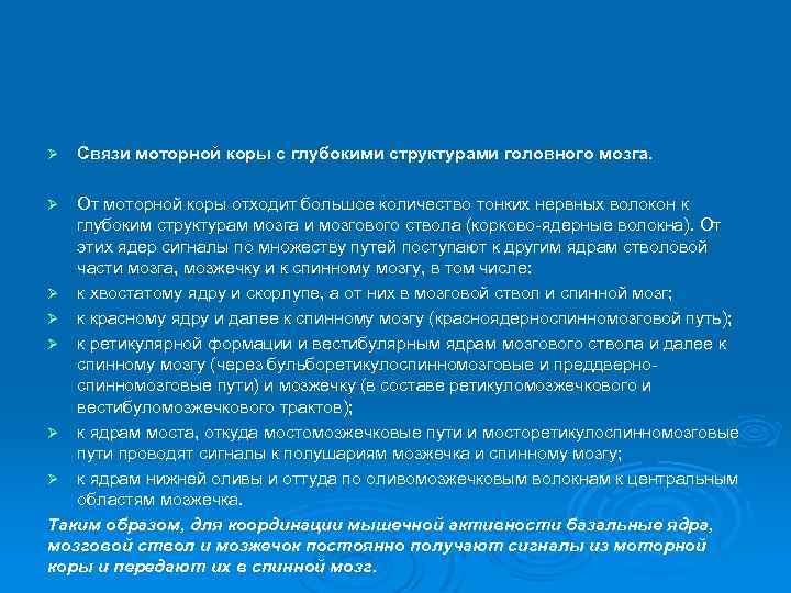 Ø Связи моторной коры с глубокими структурами головного мозга. От моторной коры отходит большое