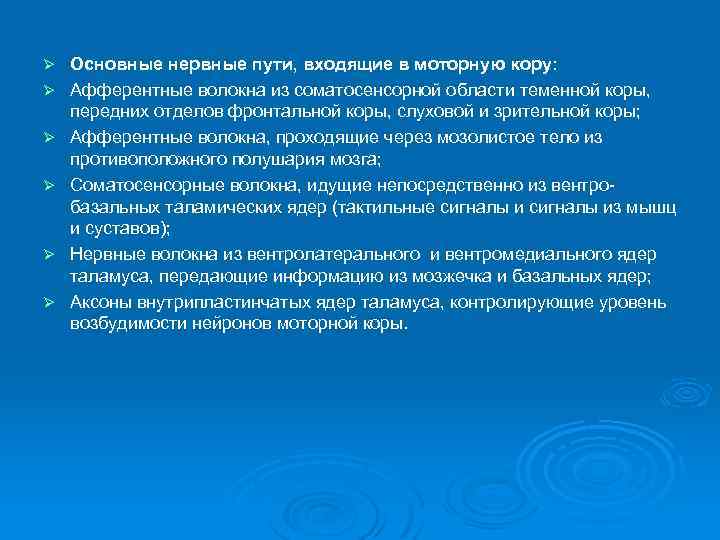 Ø Ø Ø Основные нервные пути, входящие в моторную кору: Афферентные волокна из соматосенсорной