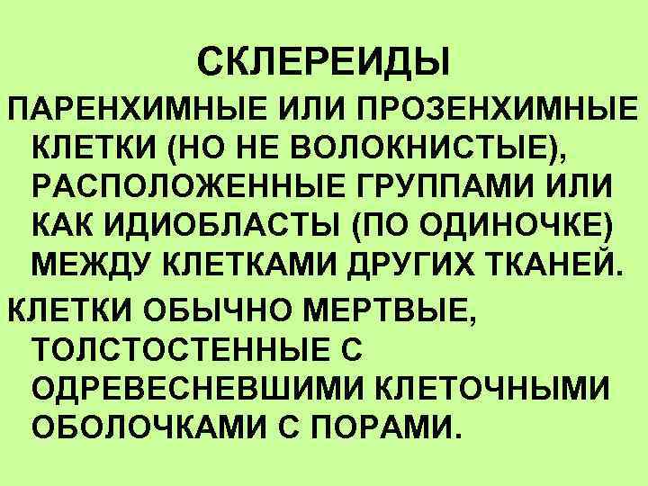 СКЛЕРЕИДЫ ПАРЕНХИМНЫЕ ИЛИ ПРОЗЕНХИМНЫЕ КЛЕТКИ (НО НЕ ВОЛОКНИСТЫЕ), РАСПОЛОЖЕННЫЕ ГРУППАМИ ИЛИ КАК ИДИОБЛАСТЫ (ПО