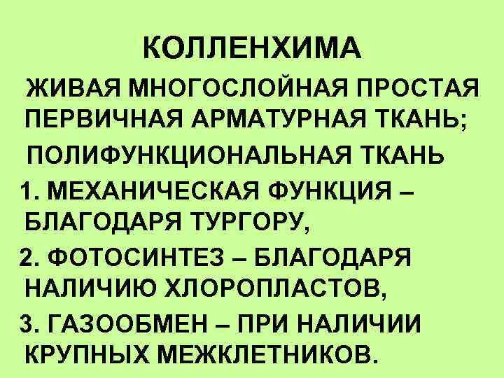 КОЛЛЕНХИМА ЖИВАЯ МНОГОСЛОЙНАЯ ПРОСТАЯ ПЕРВИЧНАЯ АРМАТУРНАЯ ТКАНЬ; ПОЛИФУНКЦИОНАЛЬНАЯ ТКАНЬ 1. МЕХАНИЧЕСКАЯ ФУНКЦИЯ – БЛАГОДАРЯ