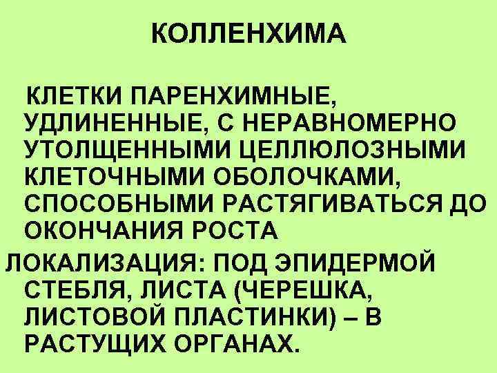 КОЛЛЕНХИМА КЛЕТКИ ПАРЕНХИМНЫЕ, УДЛИНЕННЫЕ, С НЕРАВНОМЕРНО УТОЛЩЕННЫМИ ЦЕЛЛЮЛОЗНЫМИ КЛЕТОЧНЫМИ ОБОЛОЧКАМИ, СПОСОБНЫМИ РАСТЯГИВАТЬСЯ ДО ОКОНЧАНИЯ