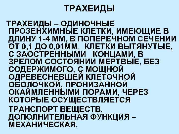 ТРАХЕИДЫ – ОДИНОЧНЫЕ ПРОЗЕНХИМНЫЕ КЛЕТКИ, ИМЕЮЩИЕ В ДЛИНУ 1 -4 ММ, В ПОПЕРЕЧНОМ СЕЧЕНИИ