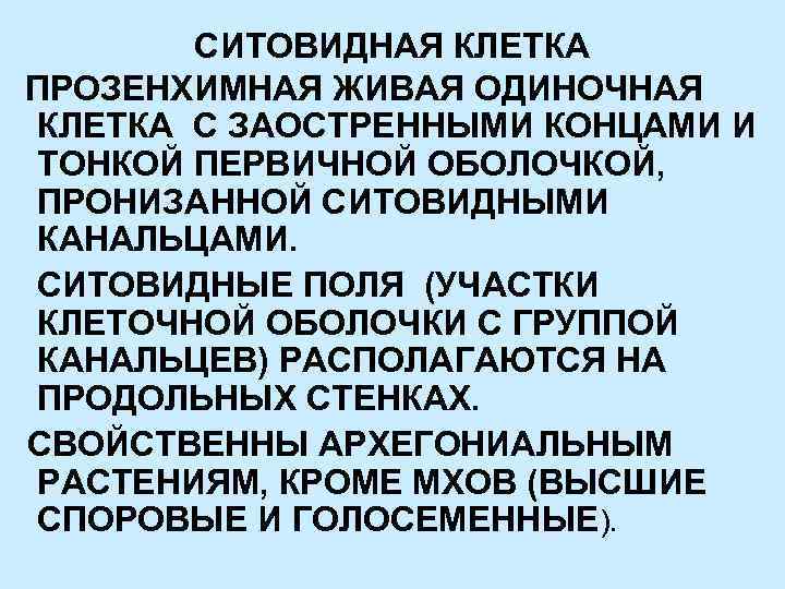 СИТОВИДНАЯ КЛЕТКА ПРОЗЕНХИМНАЯ ЖИВАЯ ОДИНОЧНАЯ КЛЕТКА С ЗАОСТРЕННЫМИ КОНЦАМИ И ТОНКОЙ ПЕРВИЧНОЙ ОБОЛОЧКОЙ, ПРОНИЗАННОЙ
