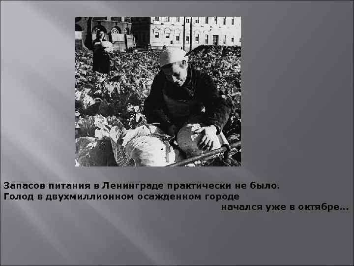 Запасов питания в Ленинграде практически не было. Голод в двухмиллионном осажденном городе начался уже