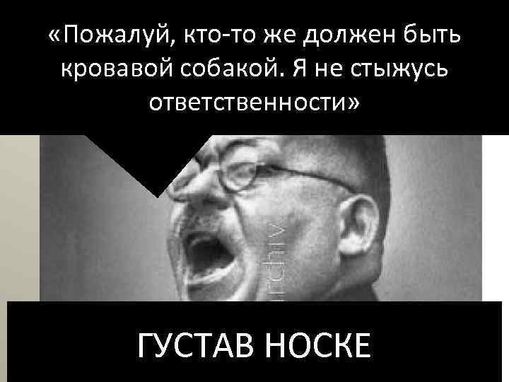  «Пожалуй, кто то же должен быть кровавой собакой. Я не стыжусь ответственности» ГУСТАВ