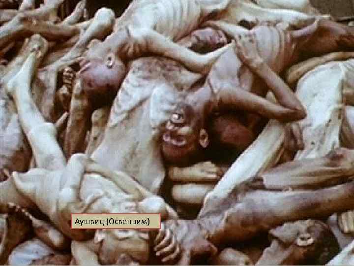 Аушвиц (Освенцим) 