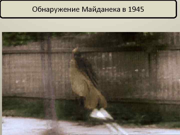 Обнаружение Майданека в 1945 