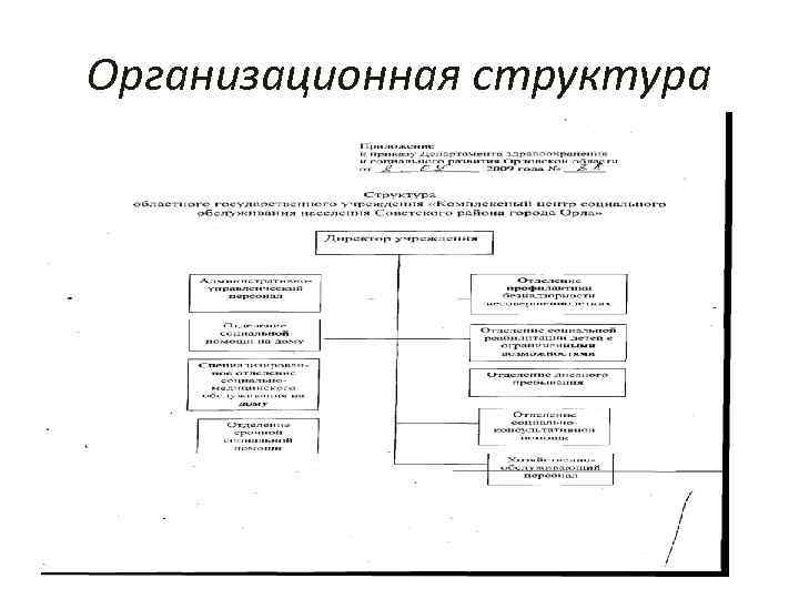 Организационная структура 