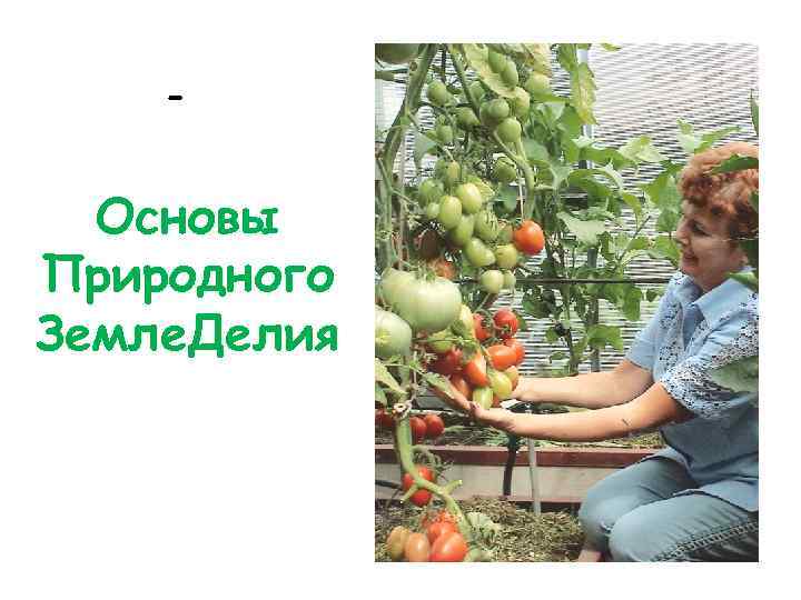- Основы Природного Земле. Делия 