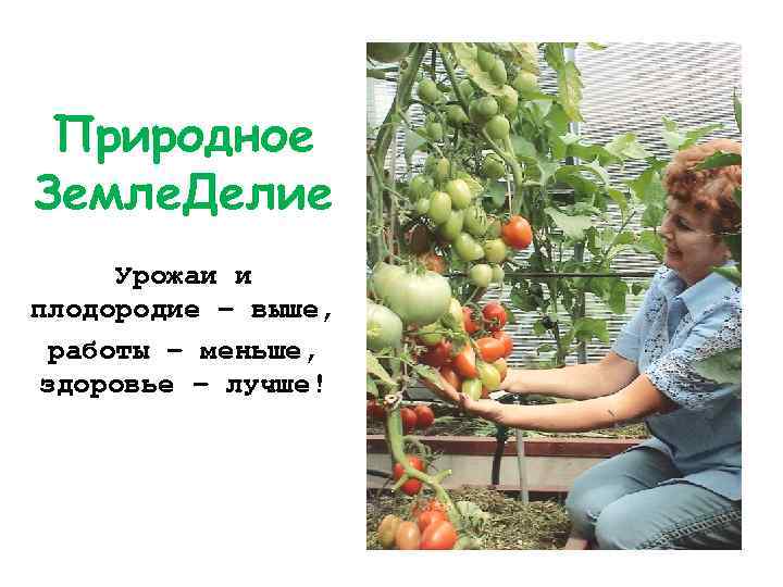 Природное Земле. Делие Урожаи и плодородие – выше, работы – меньше, здоровье – лучше!