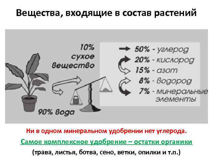 Вещества, входящие в состав растений Ни в одном минеральном удобрении нет углерода. Самое комплексное