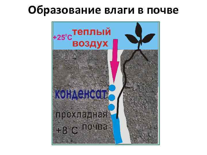 Образование влаги в почве 