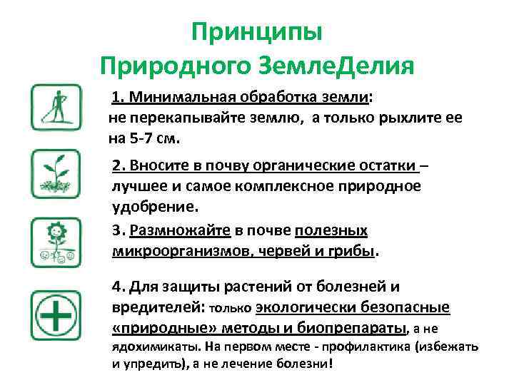 Принципы Природного Земле. Делия 1. Минимальная обработка земли: не перекапывайте землю, а только рыхлите