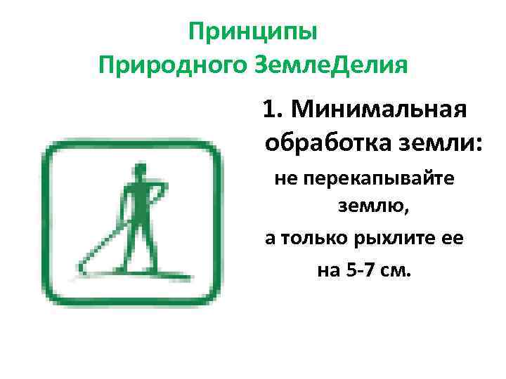 Принципы Природного Земле. Делия 1. Минимальная обработка земли: не перекапывайте землю, а только рыхлите