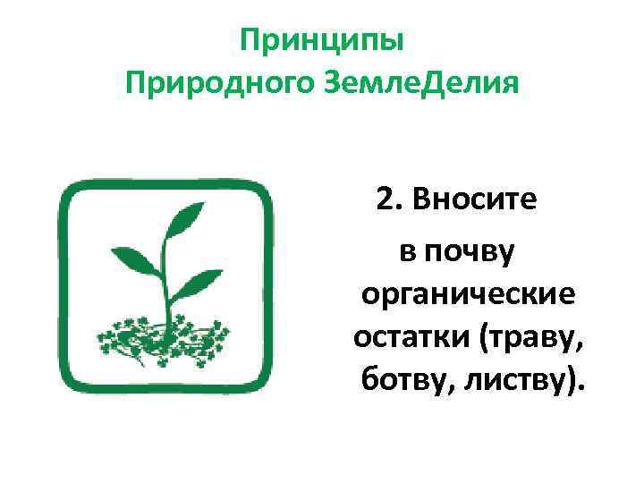 Принципы Природного Земле. Делия 2. Вносите в почву органические остатки (траву, ботву, листву). 