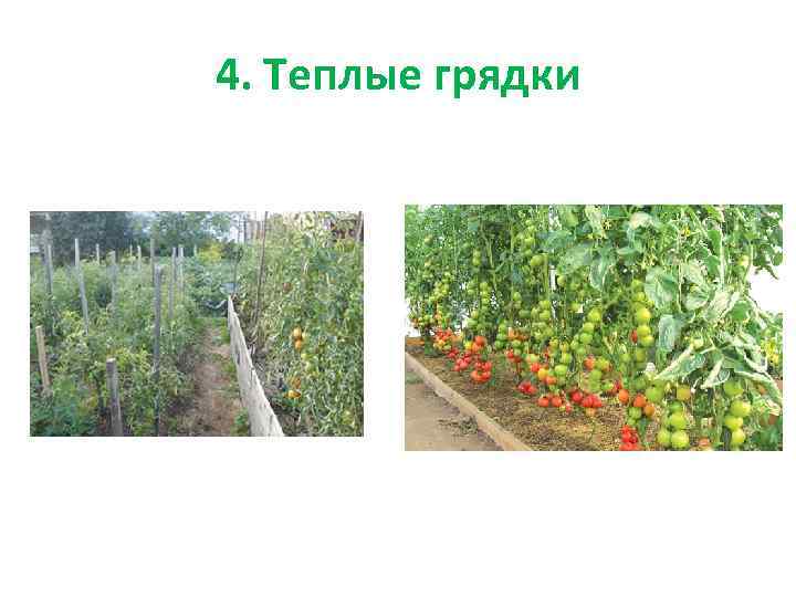 4. Теплые грядки 