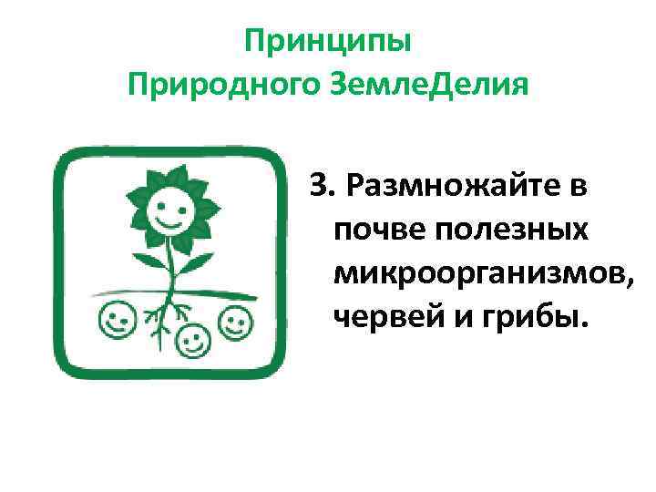 Принципы Природного Земле. Делия 3. Размножайте в почве полезных микроорганизмов, червей и грибы. 