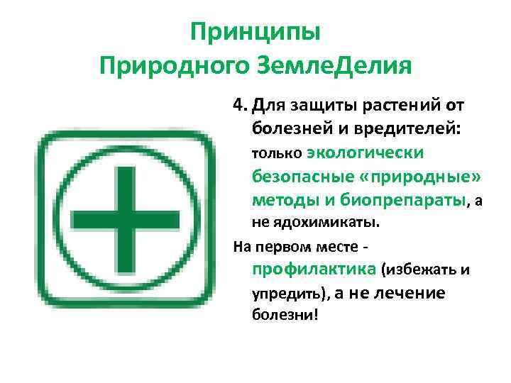 Принципы Природного Земле. Делия 4. Для защиты растений от болезней и вредителей: только экологически
