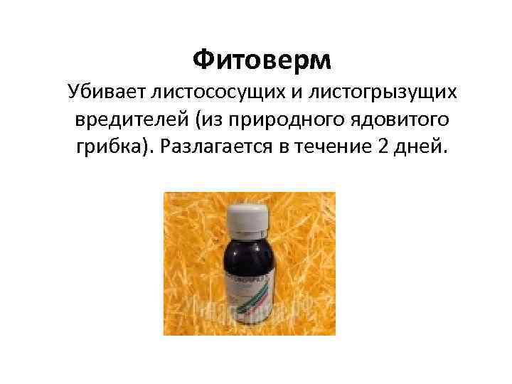 Фитоверм Убивает листососущих и листогрызущих вредителей (из природного ядовитого грибка). Разлагается в течение 2