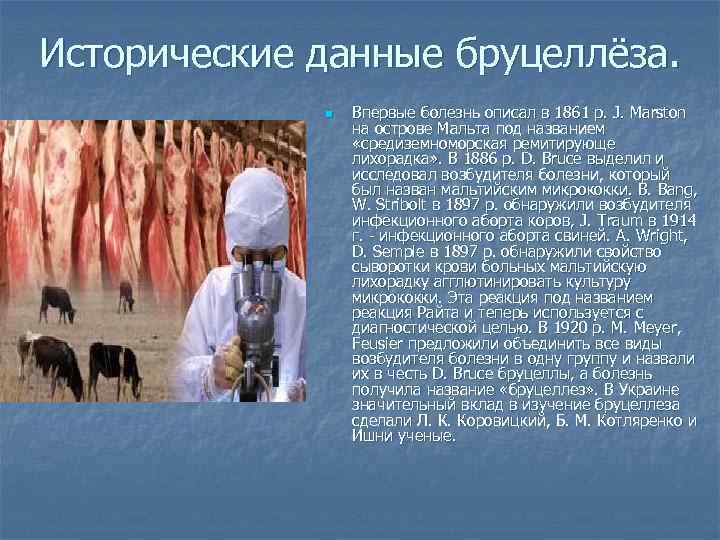 Исторические данные бруцеллёза. n Впервые болезнь описал в 1861 p. J. Marston на острове