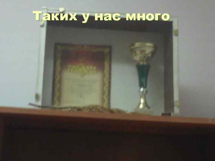 Таких у нас много 