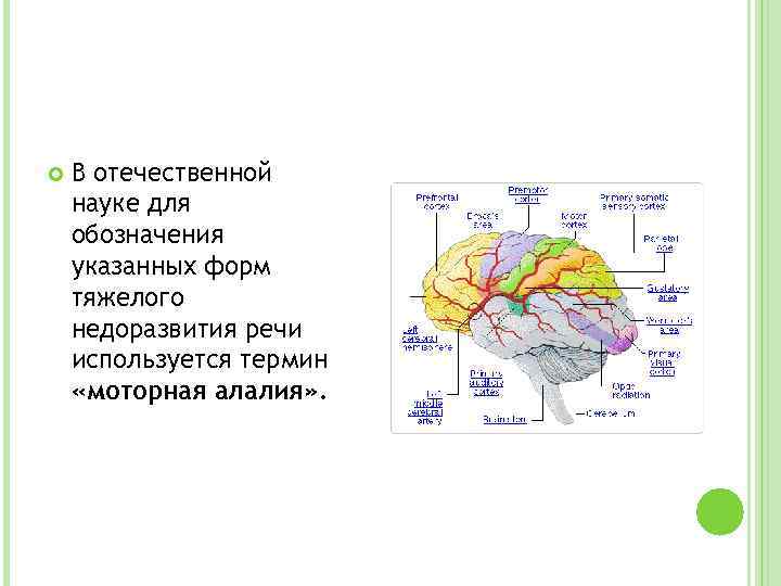  В отечественной науке для обозначения указанных форм тяжелого недоразвития речи используется термин «моторная