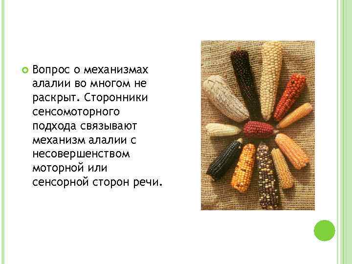  Вопрос о механизмах алалии во многом не раскрыт. Сторонники сенсомоторного подхода связывают механизм