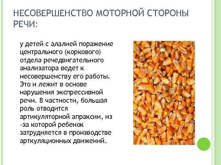 НЕСОВЕРШЕНСТВО МОТОРНОЙ СТОРОНЫ РЕЧИ: у детей с алалией поражение центрального (коркового) отдела речедвигательного анализатора