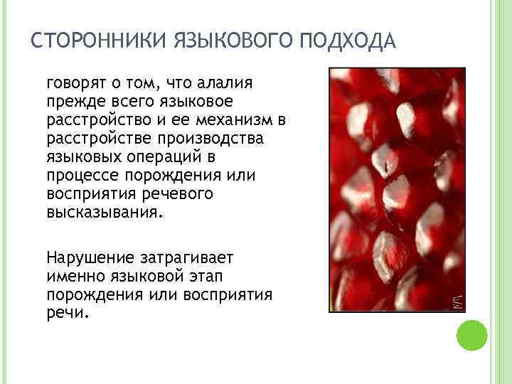 СТОРОННИКИ ЯЗЫКОВОГО ПОДХОДА говорят о том, что алалия прежде всего языковое расстройство и ее