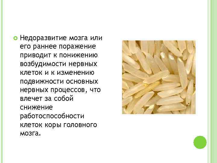  Недоразвитие мозга или его раннее поражение приводит к понижению возбудимости нервных клеток и