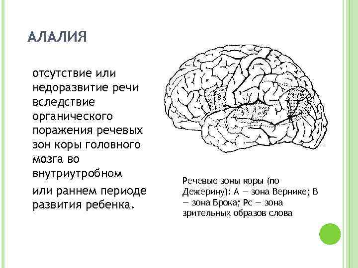 АЛАЛИЯ отсутствие или недоразвитие речи вследствие органического поражения речевых зон коры головного мозга во