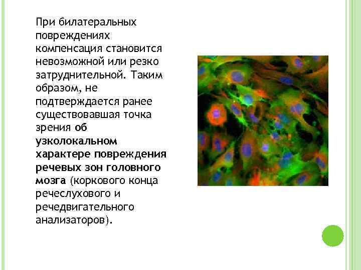 При билатеральных повреждениях компенсация становится невозможной или резко затруднительной. Таким образом, не подтверждается ранее