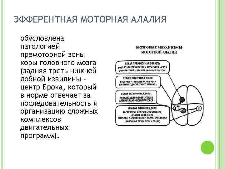 Фактор возникновения алалии