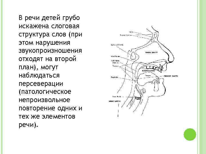В речи детей грубо искажена слоговая структура слов (при этом нарушения звукопроизношения отходят на