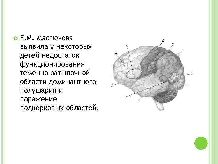 Е. М. Мастюкова выявила у некоторых детей недостаток функционирования теменно-затылочной области доминантного полушария