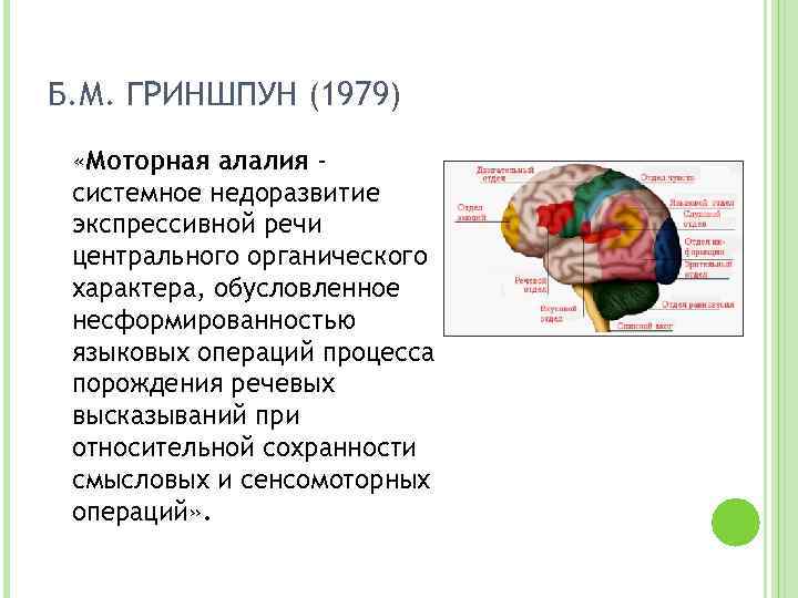 Б. М. ГРИНШПУН (1979) «Моторная алалия системное недоразвитие экспрессивной речи центрального органического характера, обусловленное