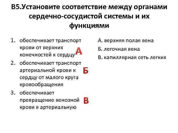 В 5. Установите соответствие между органами сердечно-сосудистой системы и их функциями 1. обеспечивает транспорт