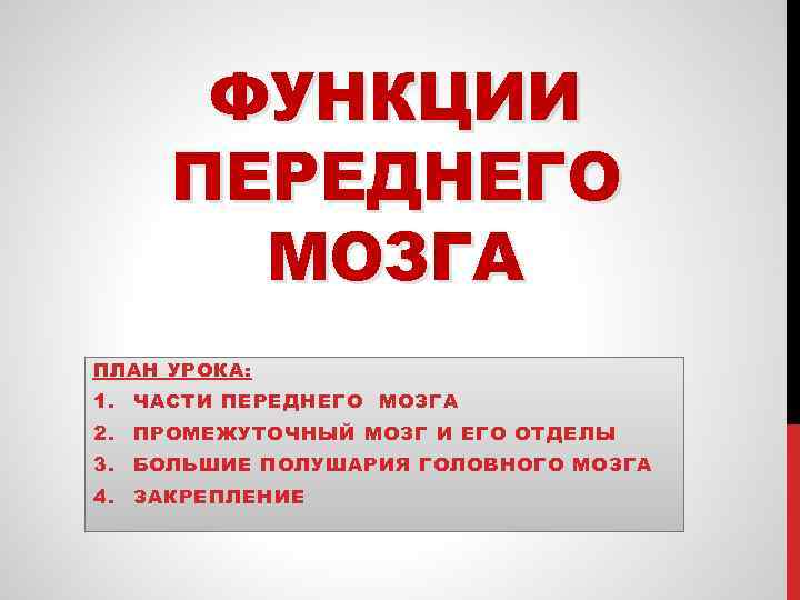 ФУНКЦИИ ПЕРЕДНЕГО МОЗГА ПЛАН УРОКА: 1. ЧАСТИ ПЕРЕДНЕГО МОЗГА 2. ПРОМЕЖУТОЧНЫЙ МОЗГ И ЕГО