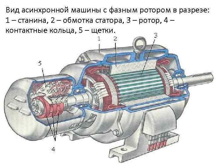 Вид асинхронной машины с фазным ротором в разрезе: 1 – станина, 2 – обмотка