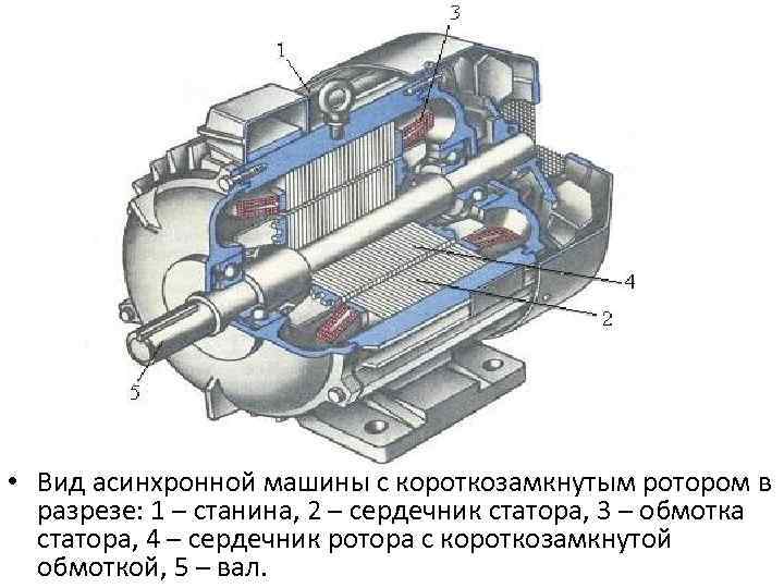 Электрическая машина название