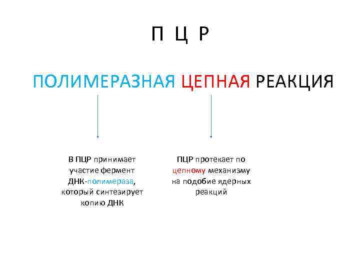 П Ц Р ПОЛИМЕРАЗНАЯ ЦЕПНАЯ РЕАКЦИЯ В ПЦР принимает участие фермент ДНК-полимераза, который синтезирует
