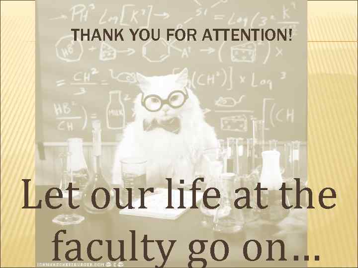 THANK YOU FOR ATTENTION! Let our life at the faculty go on… 