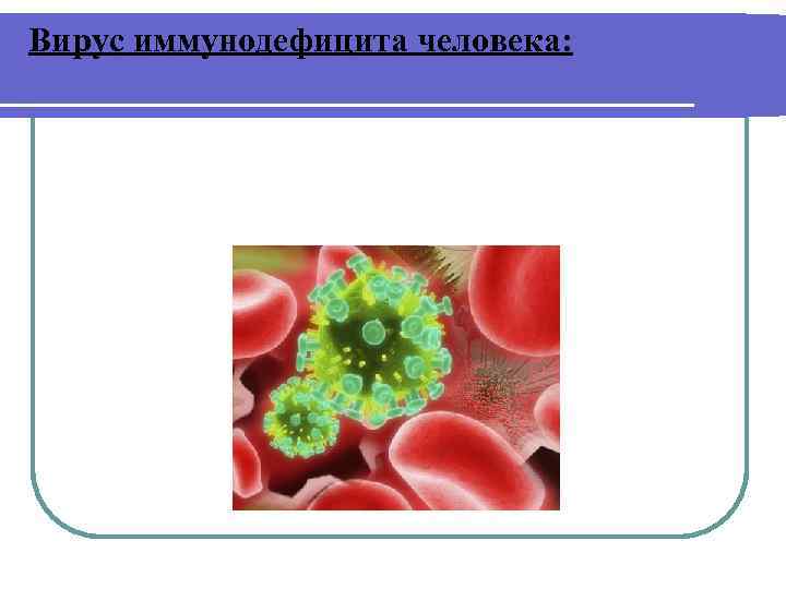 Вирус иммунодефицита человека: 