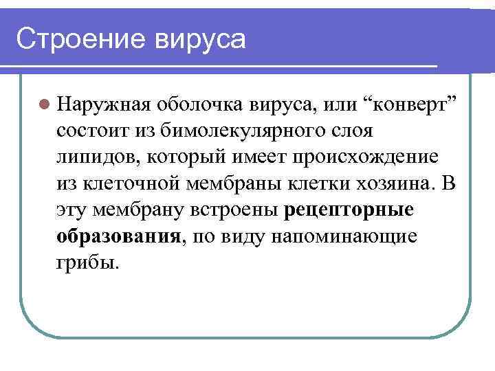Строение вируса l Наружная оболочка вируса, или “конверт” состоит из бимолекулярного слоя липидов, который